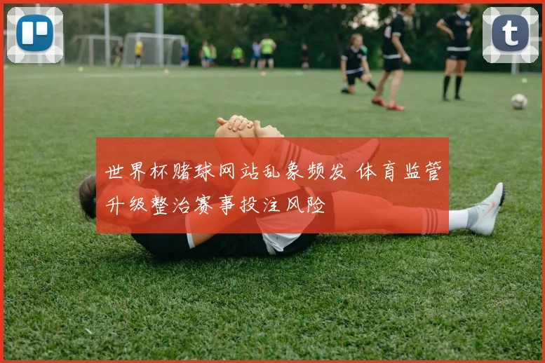 世界杯赌球网站乱象频发 体育监管升级整治赛事投注风险