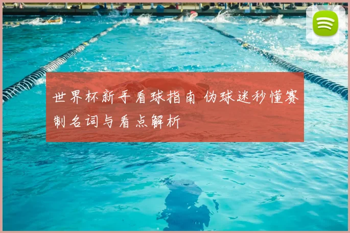 世界杯新手看球指南 伪球迷秒懂赛制名词与看点解析